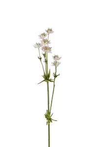 Stjärnflocka - Rosa - 55 cm - www.frokenfraken.se