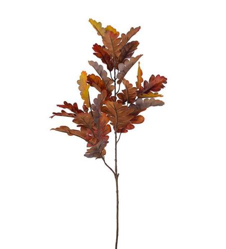Höstkvist - Ek - Brun - 95 cm - www.frokenfraken.se
