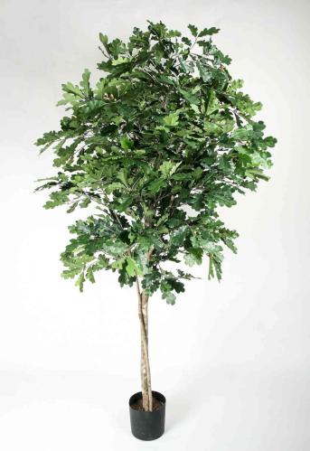 Ek Träd - 180 cm - www.frokenfraken.se