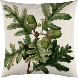 Kuddfodral - Ekollon - 50 x 50 cm - www.frokenfraken.se