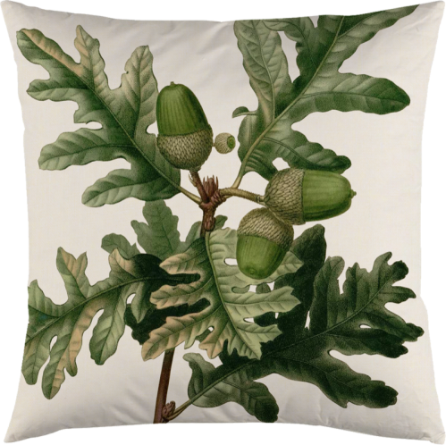 Kuddfodral - Ekollon - 50 x 50 cm - www.frokenfraken.se