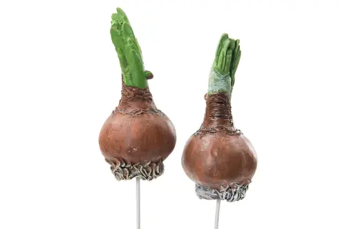 Vårlök - Sticks - 9,5cm - www.frokenfraken.se