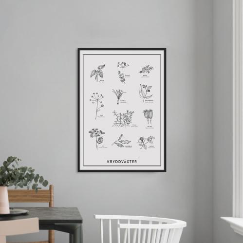 Poster - Kryddväxter - 30 x 40 cm - www.frokenfraken.se