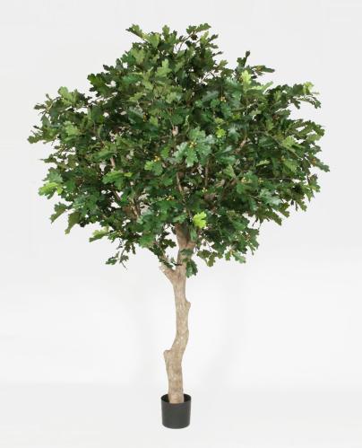 Ek Träd - 350 cm - www.frokenfraken.se