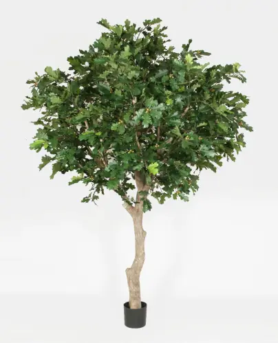 Ek Träd - 350 cm - www.frokenfraken.se