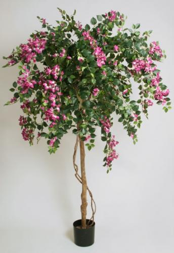Bougainvillea - Blommande stort träd - Lila - Konstväxt - 140 cm - www.frokenfraken.se