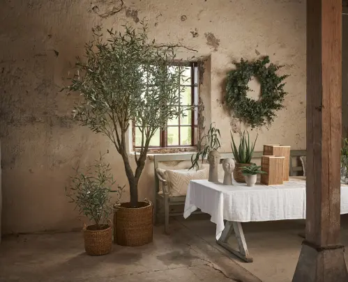 Olivträd - Grön - 130 cm - www.frokenfraken.se