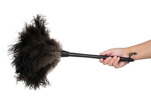 Dammvippa - Strutsfjäder - Svart - 45 cm - www.frokenfraken.se