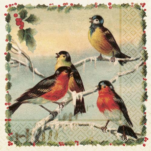 Servett - Fåglar - Julfåglar - 33 x 33 cm - www.frokenfraken.se