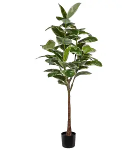Fikus Elastica - Grön - 190 cm - www.frokenfraken.se