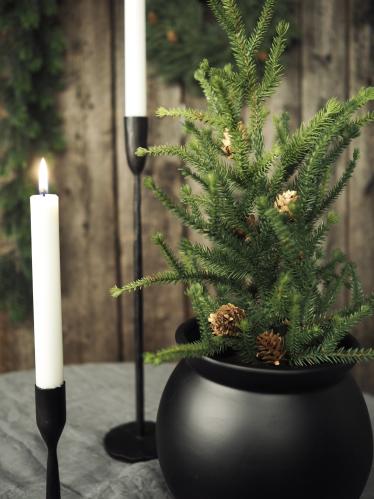 Gran - Grön - 45 cm - www.frokenfraken.se