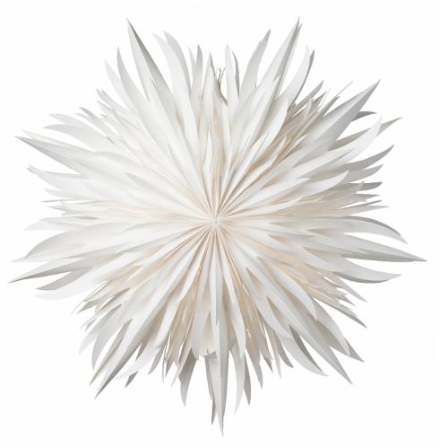 Julstjärna Papper - Eldig 52 cm - Vit - www.frokenfraken.se