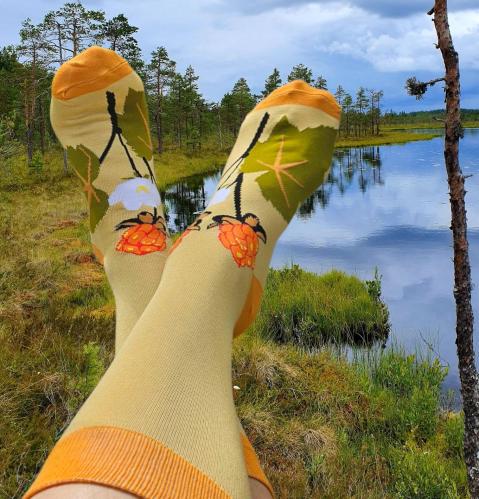 Strumpor - Bambu - Hjortron - Storlek 37-44 - www.frokenfraken.se