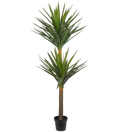 Yucca - Grön - 180 cm - www.frokenfraken.se