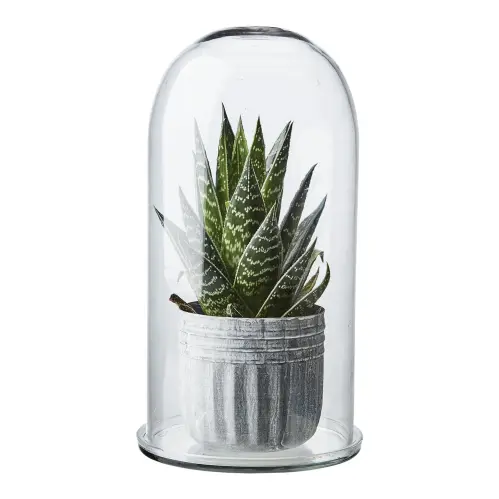 Glaskupa med fat L - Klar - Ø17 x 35 cm - www.frokenfraken.se