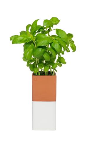 Kruka - Evergreen S - Självbevattning - www.frokenfraken.se