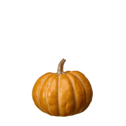 Pumpa - Dekoration - Orange - 17 x 16 - www.frokenfraken.se