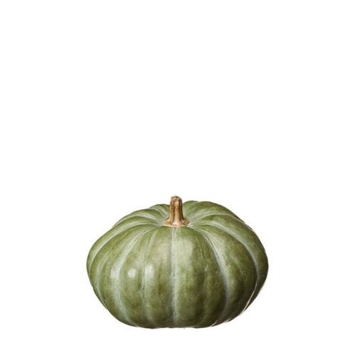 Pumpa - Dekoration - Grön - 18 x 13 cm - www.frokenfraken.se