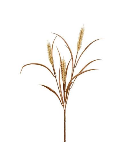 Vete - Beige - 65 cm - www.frokenfraken.se