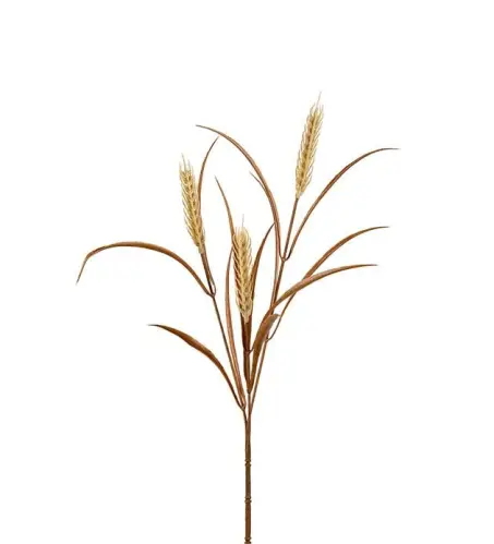 Vete - Beige - 65 cm - www.frokenfraken.se