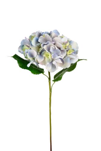 Hortensia - Blå - 55 cm - www.frokenfraken.se