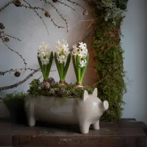 Kruka - Gris - Brun - 40 x 11 x 16 cm - www.frokenfraken.se