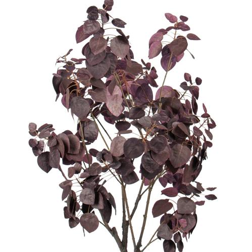 Cotinus - Konstväxt - 140 cm - www.frokenfraken.se