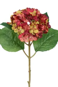 Hortensia - Bordeaux-Röd sidenblomma - Ø12 cm - www.frokenfraken.se