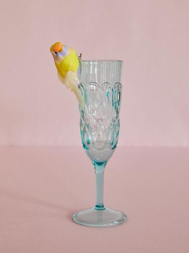 Champagneglas - Mint - 21 cm - www.frokenfraken.se