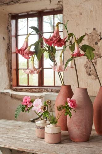 Änglatrumpet - Rosa - 90 cm - www.frokenfraken.se