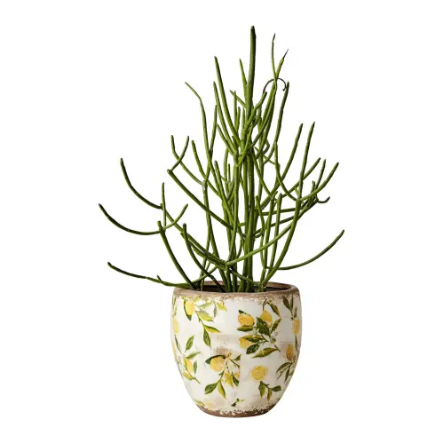 Kruka M - Citroner - Vit/grön/gul - Ø17 x 17 cm - www.frokenfraken.se
