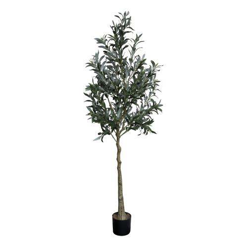 Olivträd - 170 cm - www.frokenfraken.se
