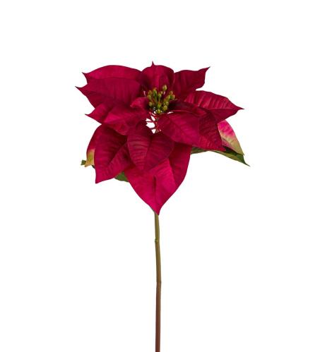 Julstjärna - Röd - 70 cm - www.frokenfraken.se
