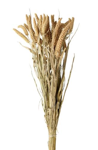Torkat Kavelhirs - 100g - Natur - 65/75 cm - www.frokenfraken.se