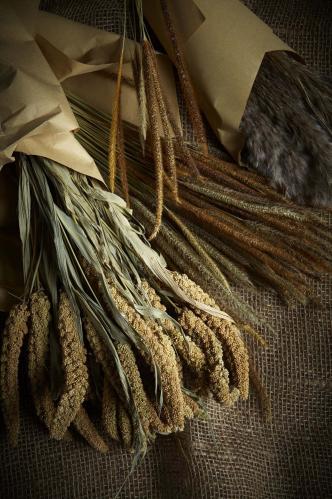 Torkat Kavelhirs - 100g - Natur - 65/75 cm - www.frokenfraken.se