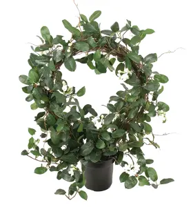 Stephanotis - Konstväxt - 75 cm - www.frokenfraken.se