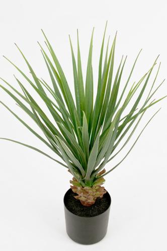 Yucca - Grön - 58 cm - www.frokenfraken.se