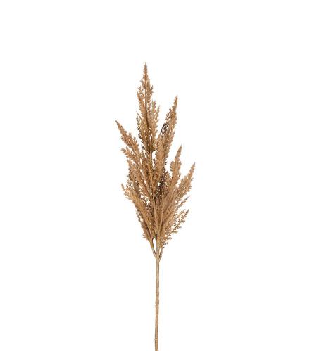 Pampasgräs - Beige - 80 cm - www.frokenfraken.se
