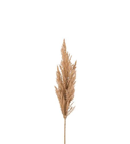 Pampasgräs - Beige - 90 cm - www.frokenfraken.se