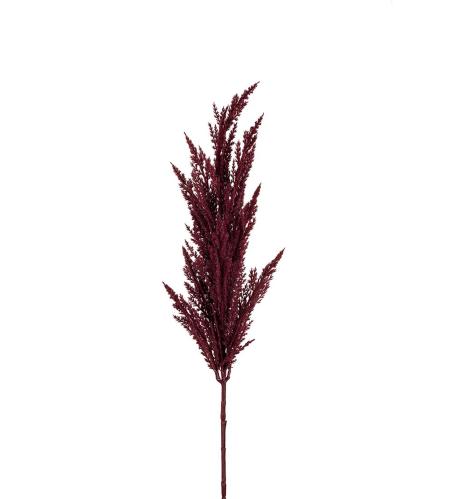 Pampasgräs - Burgundy - 90 cm - www.frokenfraken.se