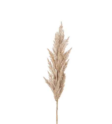 Pampasgräs - Natur - 120 cm - www.frokenfraken.se