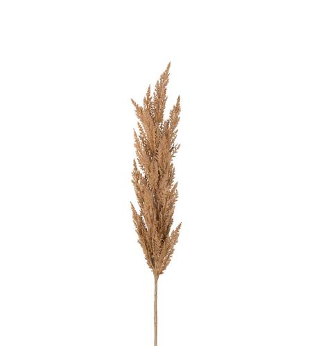 Pampasgräs - Beige - 120 cm - www.frokenfraken.se