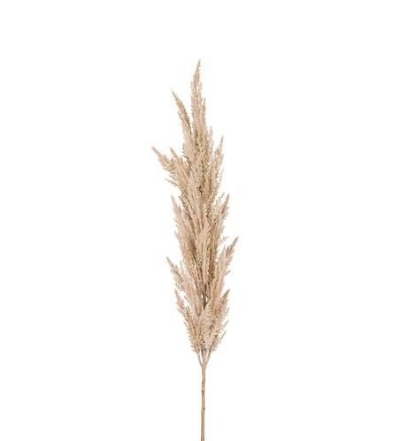 Pampasgräs - Natur - 150 cm - www.frokenfraken.se