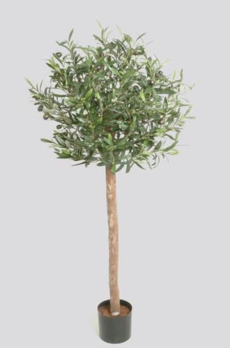 Olivträd - 110 cm - www.frokenfraken.se