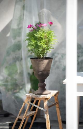 Kruka - Pokal - Rost - 21 x 33 cm - www.frokenfraken.se