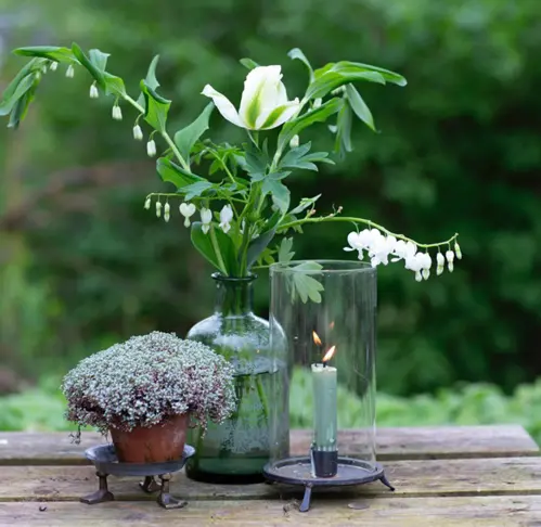Ljusstake - Med Glas - 22 x Ø10 cm - www.frokenfraken.se