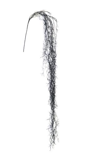 Tillandsia - Svart - www.frokenfraken.se