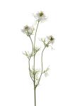 Nigella - Vit - 60 cm - www.frokenfraken.se