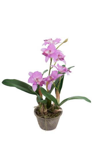 Lila - 60 cm - www.frokenfraken.se