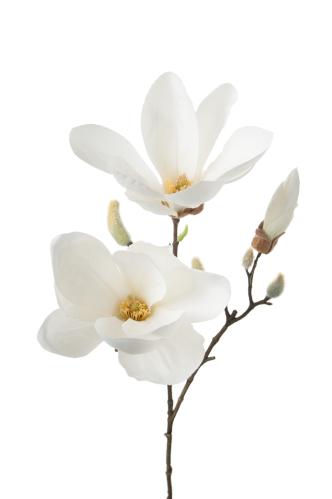 XXX_Magnolia - Vit - 65 cm - www.frokenfraken.se